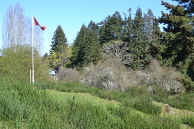 The shadow of blue sky and green CaoCheng field during the day
